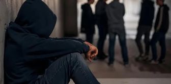 The first two articles of the regulation on children dragged into crime were adopted.