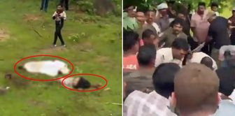 The bear that ate two siblings alive was killed by the crowd.