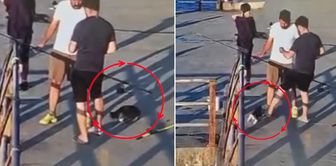 In Uskudar, he kicked a cat and knocked it into the sea! Bystanders reacted.