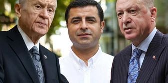 Bahceli had called for 'Demirtas should return home'! A response came from Erdogan's aide