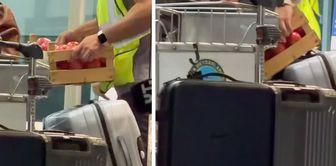 The reason why Vlahovic brought two crates of tomatoes to Istanbul has been revealed.