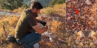 They were caught while kidnapping from Türkiye! Foreign nationals fined 1.4 million TL