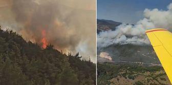 The fire that broke out in the milk truck spread to the forest and is moving toward Kütahya.