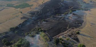 In Bilecik, a bird struck an electric wire, causing a fire in agricultural land.
