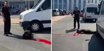 A retired police officer killed his wife and waited by her lifeless body.