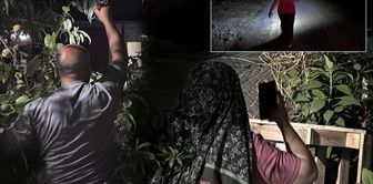 The whole district has been on edge for 6 months! It appears at night, and the neighbors are on watch.