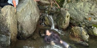 The lifeless bodies of two sisters were found by a stream in Ordu.