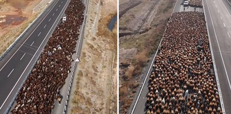 The footage is from Turkey! They closed the two-lane road, and dozens of vehicles waited to pass.