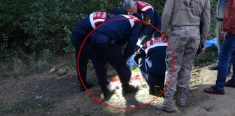 Father, his two sons and uncle were killed! The reason is unbelievable.