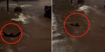 In Sarıyer, he swam in the street that turned into a lake to avoid being swept away by the current.