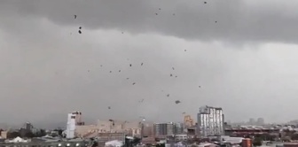 Hurricane disaster in Chile! Roofs of buildings flew off, red alert issued in the capital