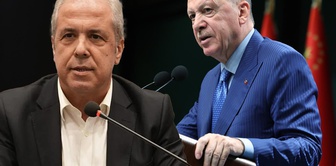 Şamil Tayyar gave the signal of new resignations: Erdoğan won't protect either, don't drag it out.