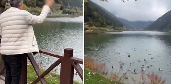 Şenol Güneş fed the ducks, and his comment was once again one of a kind.
