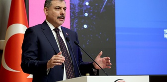Minister Çiftçi: The process of collecting stray street animals has been completed throughout Turkey.