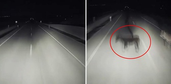 المشهد من تركيا! حادثة تثير الرعب في ظلام الليل