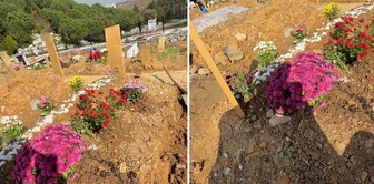 A strange event at the cemetery! 