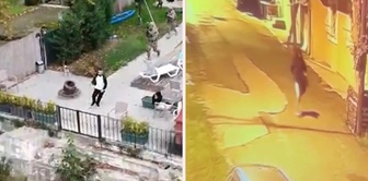 They shot the wrong person! The reason for the second attack, however, made one say, “I give up.”