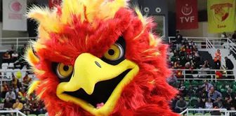 Hakemi dövmeye kalkan maskot, gözaltına alındı