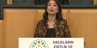 DEM Partili Hatimoğulları'ndan muhalefete çağrı