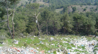 Bilecik'te Çevre Kirliliği