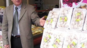 Mantar Zehirlenmelerinde İlk 6 Saat Uyarısı