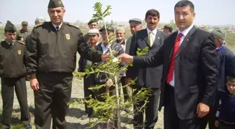 Karaman'da Yerel Yönetimler