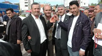 Kaynarca'da En Güzel İnek Yarışması Yapıldı