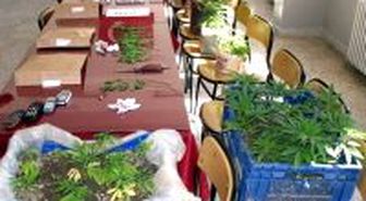 Jandarmadan 'Bahar Temizliği' Operasyonu