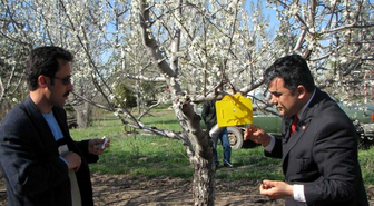 Ereğli İlçe Tarım Müdürlüğü'nden Ateş Yanıklığı Hastalığı Uyarısı