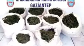 Gaziantep'te Uyuşturucu Operasyonu