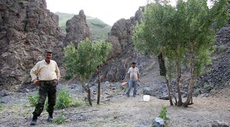 Sınırda Yol Güvenliğini Sağlayan Korucuların Mangal Keyfi