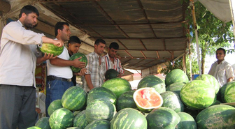 Sıcakların Artması Karpuz Satıcılarına Yaradı