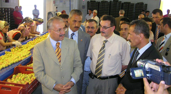 Yaş Kayısıda Senenin İlk İhracatı Yapıldı