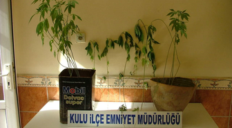 Kulu'da Hint Keneviri Operasyonu