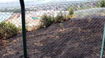 Petrol Dağıtım İstasyonu Arazisinde Çıkan Yangın Paniğe Sebep Oldu