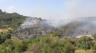 Manisa'daki Orman Yangını