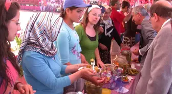 Oluközü Turşu Festivali Yapıldı