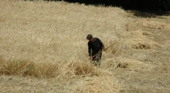 Malatya'da Kuraklık İçin 11 Bin Çiftçi Başvurdu