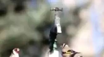 Doğru Su Kullanım Önerileri
