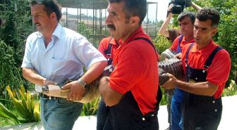 Timsah Operasyonunda Zor Anlar Yaşandı