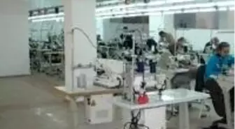 Adım Adım Greve