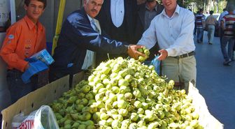 Hizan Armudu Piyasadaki Yeri Aldı