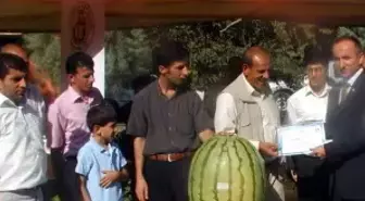 Diyarbakır'da Düzenlenen Karpuz Yarışması, Renkli Görüntülere Sahne Oldu