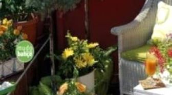 Renklerle Büyüyen Balkon
