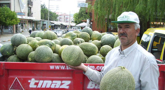 Kuraklık Kavuna Yaradı