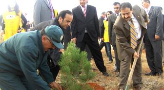 Tokat'ta 250 Adet Fidan Toprakla Buluştu