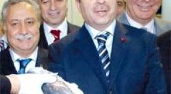 Ton Balığı Kotasına İmza Koymadık