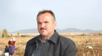 Beyşehir'de Patates Hasadı Sürüyor