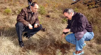 Acıbadem'den Hatıra Ormanı