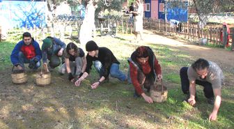 Bayram Tatilini Bahçe Çapalayıp, Zeytin Toplayarak Geçirdiler